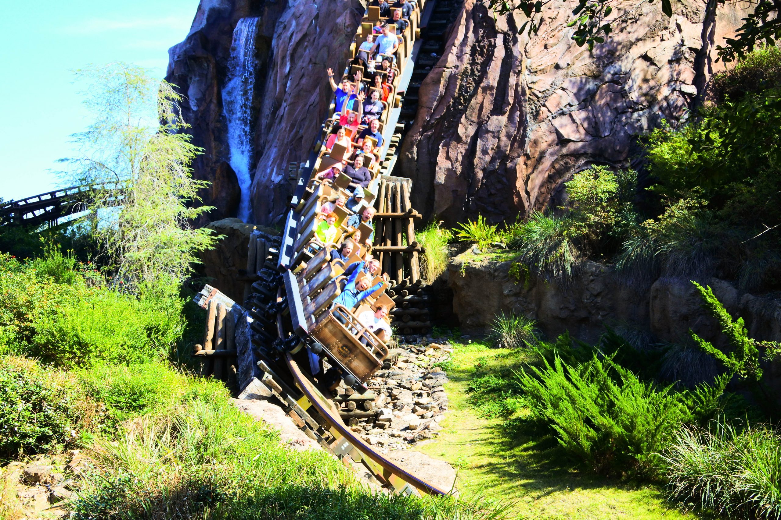 Disney animal kingdom