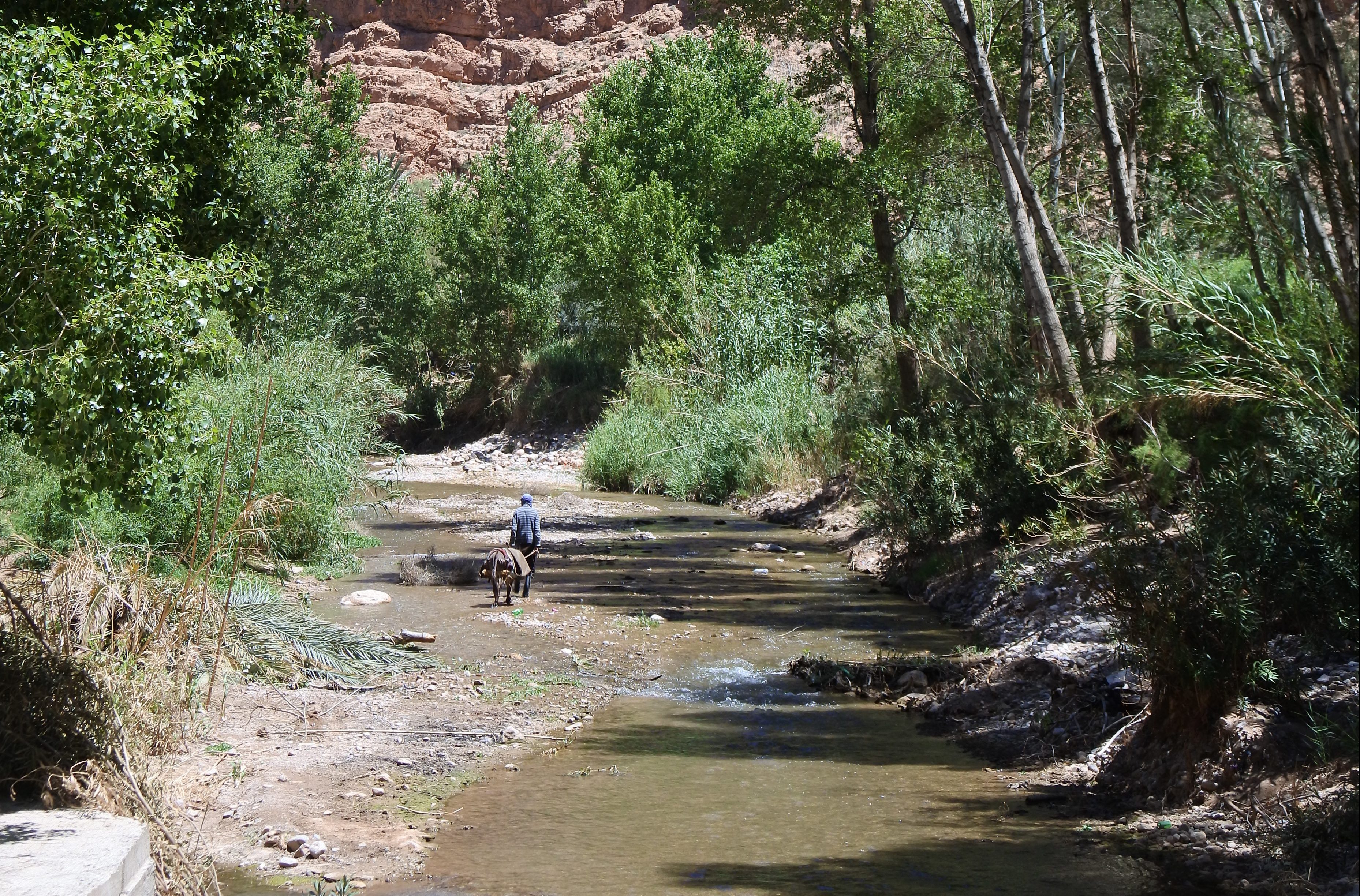 de Todgha kloof in marokko